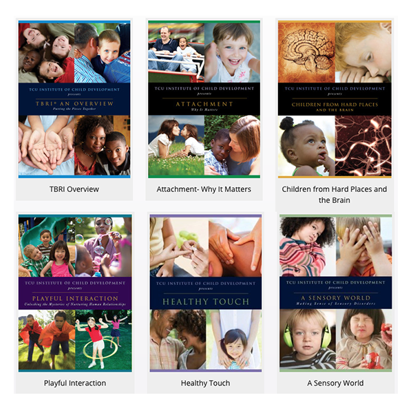 Healing Families DVD Series