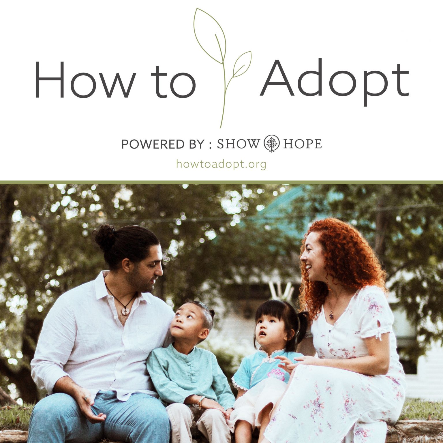 Adoption Aid Grants — Show Hope