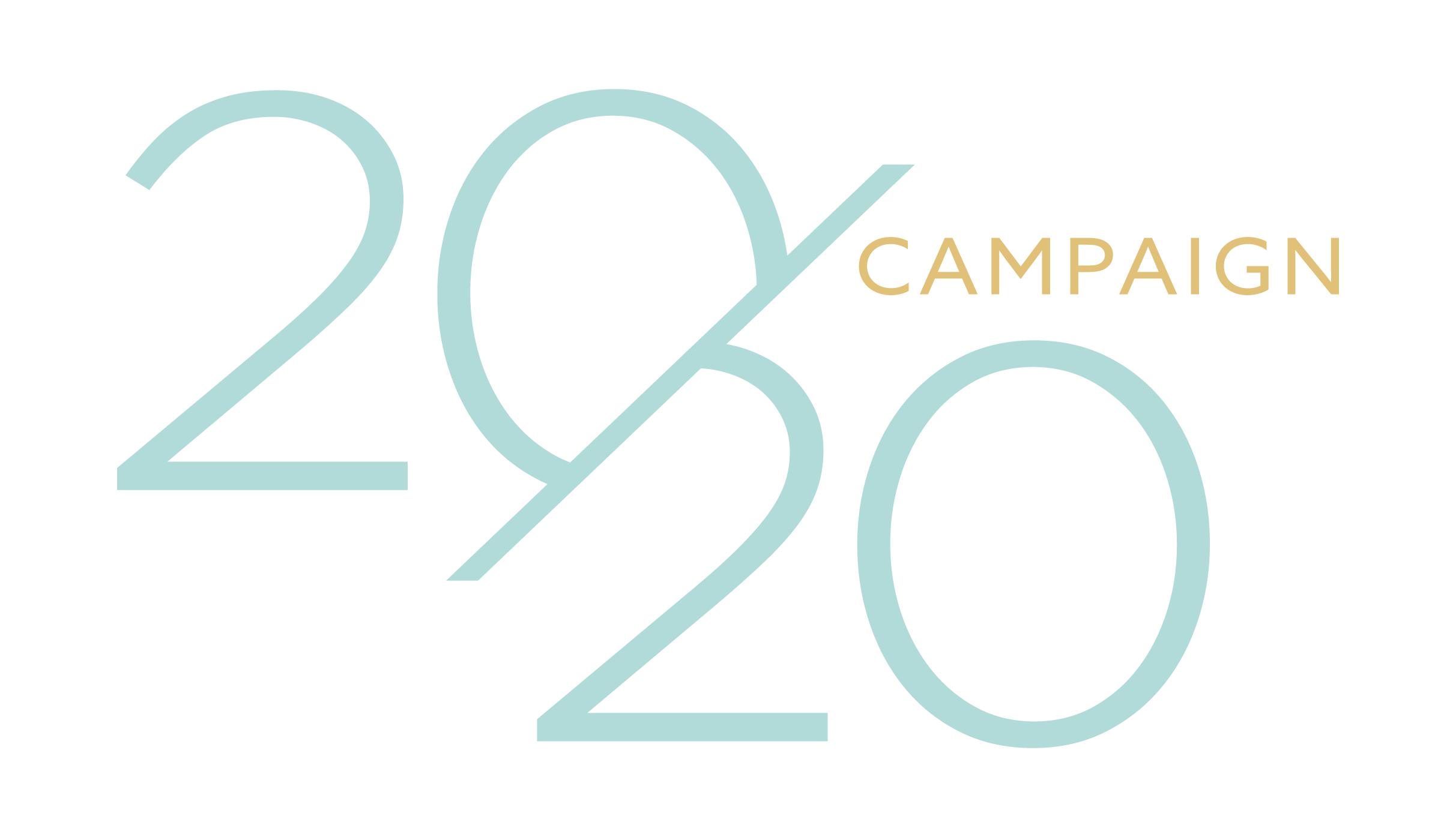 20/20 Campaign Logo