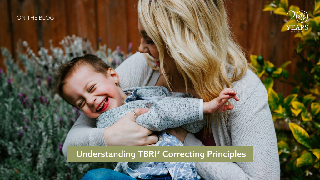 Understanding TBRI Correcting Principles