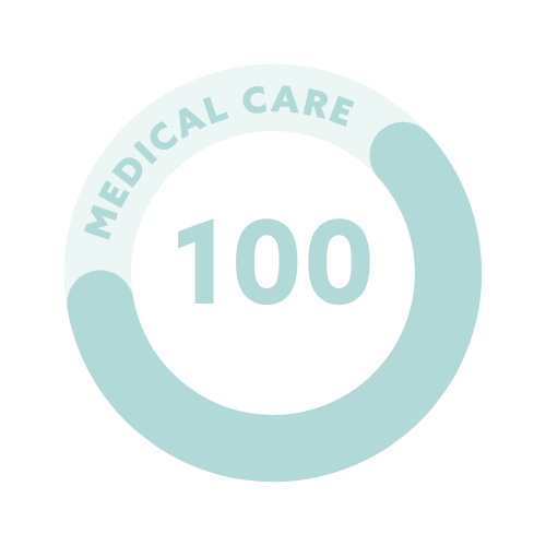 Give Page Goal Icon | Medical Care