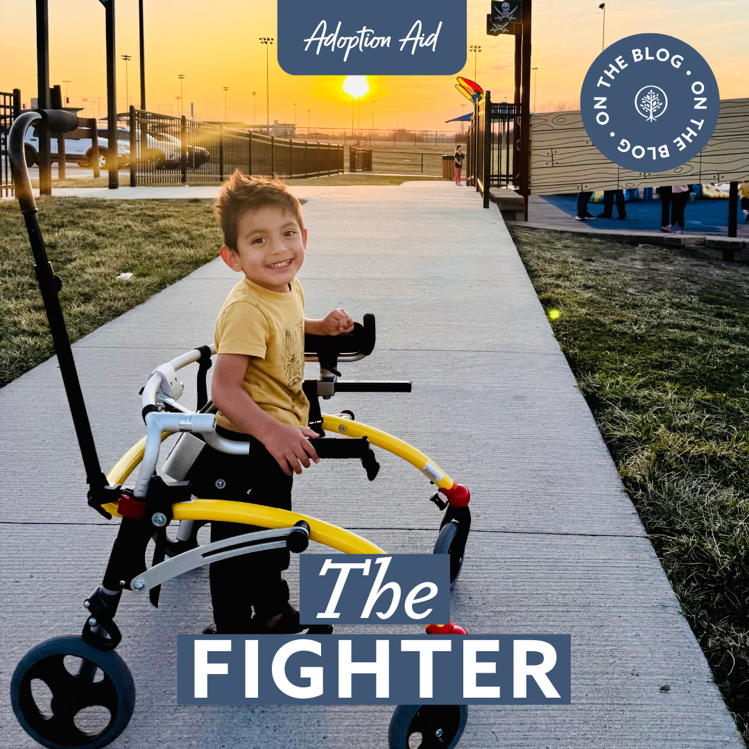 Copy of Blog The Fighter