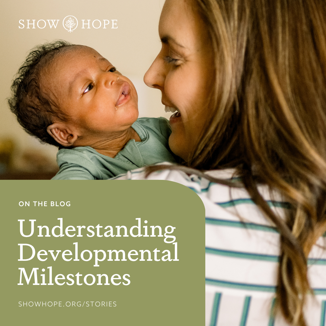 Blog Understanding Developmental Milestones