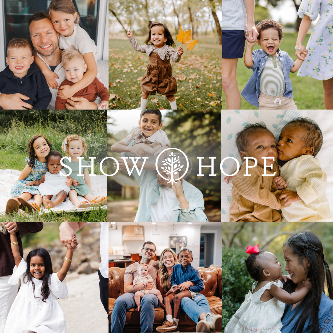 Adoption Aid Impact Report