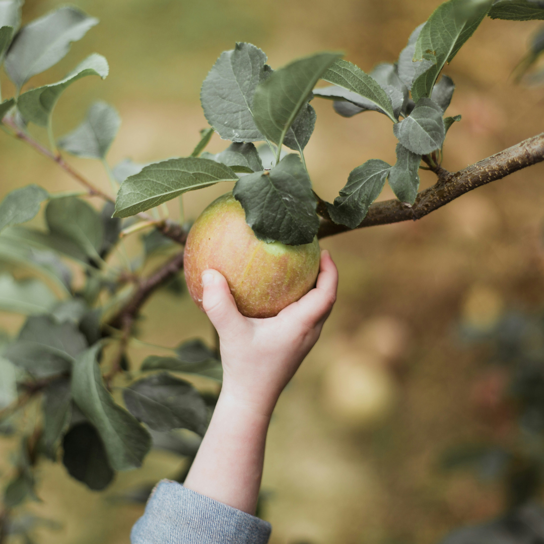 Show Hope Story Image