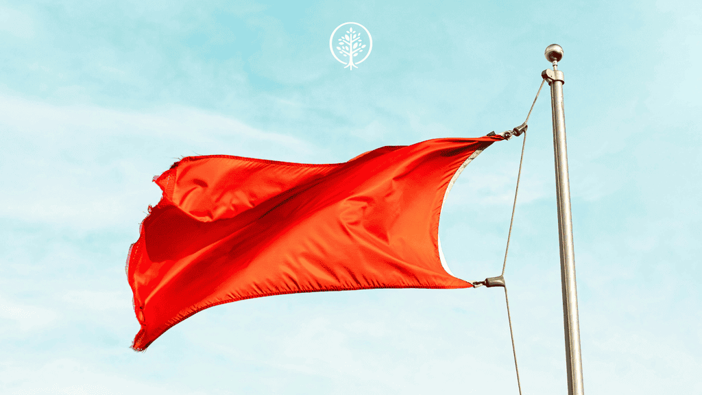 Adoption agency red flags