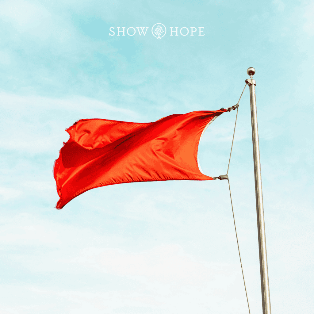 Adoption agency red flags